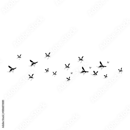 Flying Mosquito Illustration