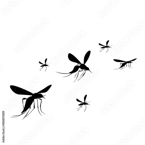 Flying Mosquito Illustration