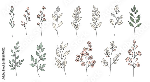 Collection of assorted delicate hand-drawn botanical stems with various leaves and small flower blossoms.