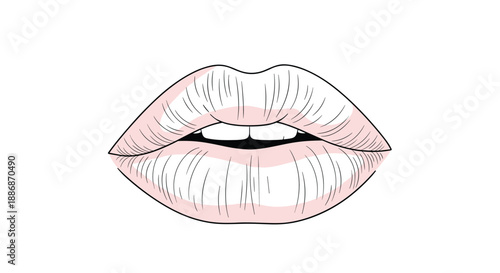 Detailed drawing of full female lips slightly parted showing white teeth in a soft pink color with thin artistic pencil lines.