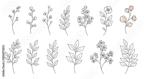 Set of delicate hand-drawn botanical stems and branches with various leaves and small flower blossoms.