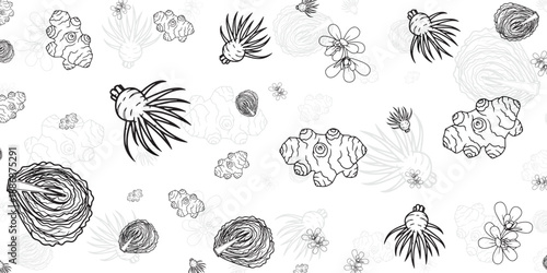 Botanical Drawing Of Various Medicinal Plants And Roots In Outline Style