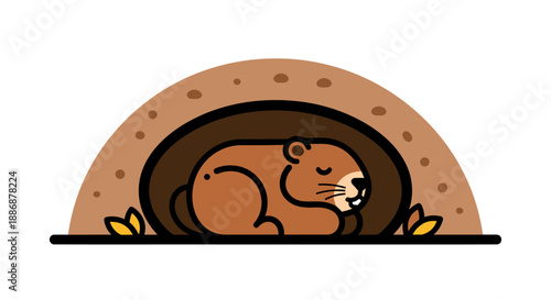 Groundhog day  groundhog sleeping in burrow predicting six more weeks suitable for weather forecasts, seasonal predictions, animal behavior articles.