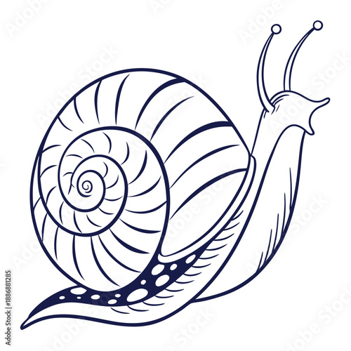 Snail Mollusk Vector Symbol