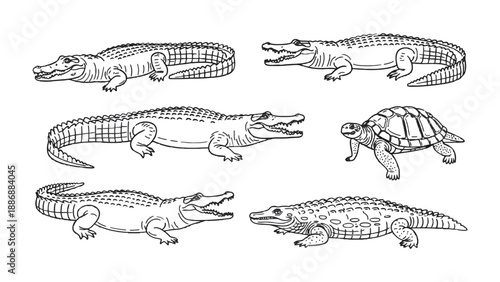 Reptilian Diversity: A detailed illustration showcasing a variety of reptiles, including alligators and a turtle, rendered in a striking monochrome style.
