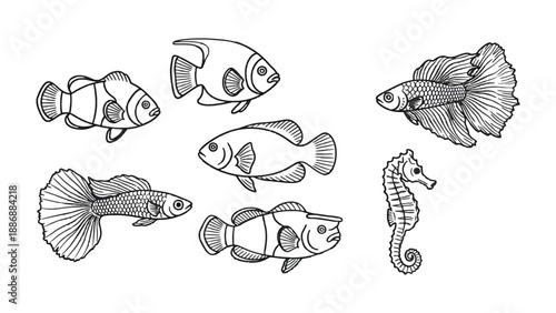 Underwater Line Art: An exquisite collection of fish, elegantly illustrated in monochromatic strokes. Showcasing the grace of aquatic life