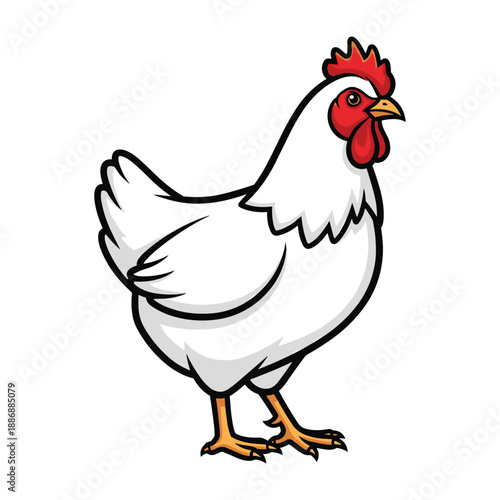 Cartoon chicken standing on white background