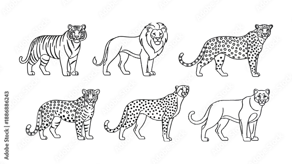 Obraz premium Feline Lineup: A captivating illustration featuring a series of majestic big cats in elegant line art, celebrating the beauty and power of these magnificent creatures.