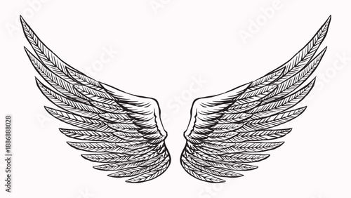 Beautiful detailed angel wings drawing for your collages. Biblical and religious context elements for your design. Hand drawn engraving with bird feathers, can be recognised as pigeon or other.