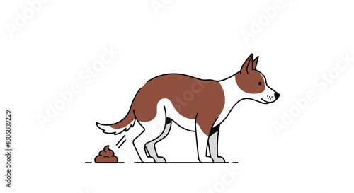 Side view of a brown and white dog pooping on the ground, representing pet ownership responsibilities and hygiene in public spaces.