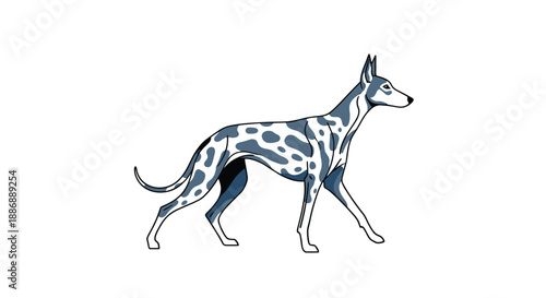 Elegant illustration of a spotted Dalmatian dog walking gracefully, showing its distinctive black or blue spots on a white coat.