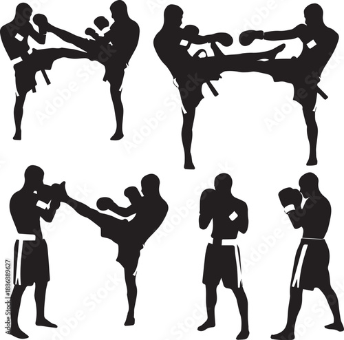 Martial arts silhouette postures and techniques