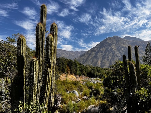 Mantiqueira Mountains, São Paulo, Minas Gerais (Brazil) Parque Arenas, Maipo Valley, Santiago, Valparaiso (Chile)
Benalmadena, Andalusia (Spain)
