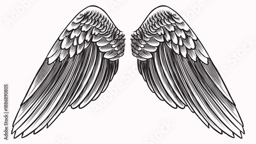 Beautiful detailed angel wings drawing for your collages. Biblical and religious context elements for your design. Hand drawn engraving with bird feathers, can be recognised as pigeon or other.