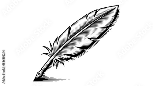 Monochromatic illustration of a feather quill with intricate details