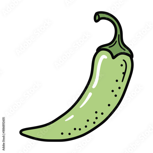 Green jalapeno pepper illustration