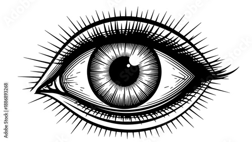 High-contrast black-and-white illustration of a detailed eye with intricate radial lines in the iris and bold lashes