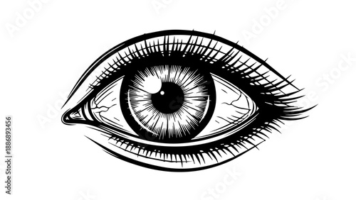 High-contrast black-and-white illustration of a single human eye with intricate details