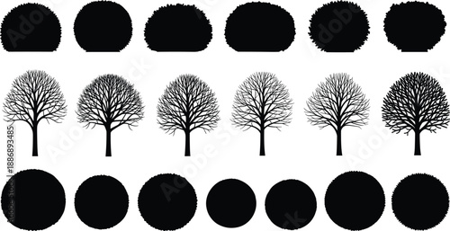 Tree, canopy, silhouette, outline, foliage, shape, pattern, texture, graphic, abstract, nature, botanical, landscape, illustration, minimal, design, forest, stylized, comparison, element