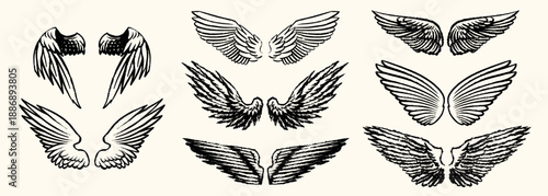Grunge angel wings. street art style drawing. brush drawn elements. Can be used as bird, devil or creature wings. Symbol of freewill peace and heaven.