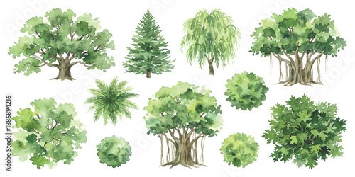 Watercolor illustrations of various trees and bushes in green hues