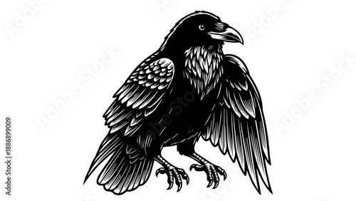 High-contrast black and white illustration of a crow with glossy feathers and a sharply curved beak