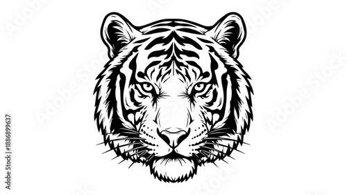 Black and white illustration of a tiger's head with intricate detailing