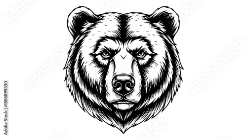 Black and white line art illustration of a bear's head with detailed fur texture and intense eyes