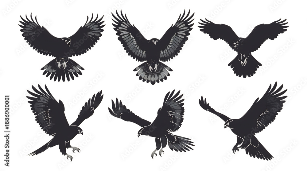 Fototapeta premium Majestic eagles in flight, showcasing powerful wings and soaring grace
