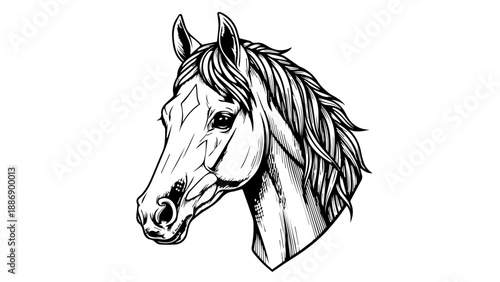 Black and white illustration of a horse's head with flowing mane