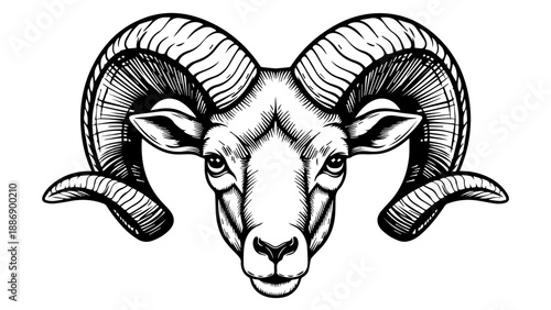 Black and white illustration of a ram's head with large curved horns