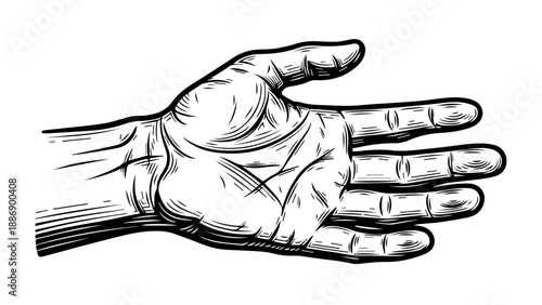 Black and white line drawing of a human hand with detailed anatomical features