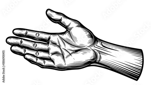 Black and white illustration of a human hand with fingers spread and thumb extended