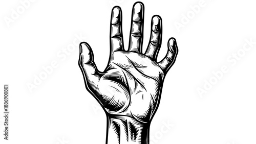 Black and white illustration of a human hand in a natural pose with fingers slightly spread