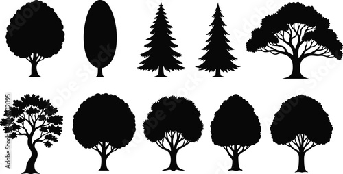 Set of Black Tree Silhouettes Collection with Pine Oak Spruce and Deciduous Shapes for Landscape Design cad drawing flat vector illustration