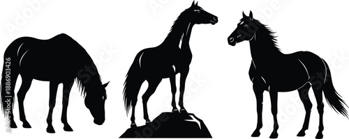 Three Horse Silhouettes in Various Poses