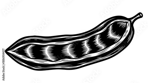 Minimalist black and white illustration of a single elongated banana with intricate detailing