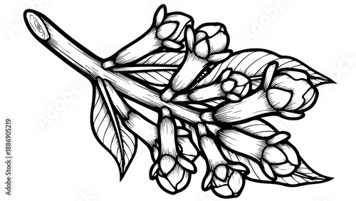 Black and white line drawing of a delicate branch with flowers and leaves extending diagonally
