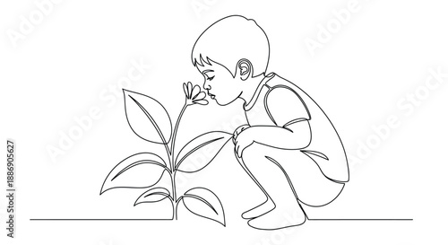 A small boy kneels down to smell a blooming flower carefully growing from the ground in a simple line drawing.