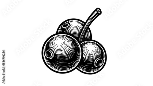 Three black and white teapots in a triangular arrangement with intricate swirling patterns