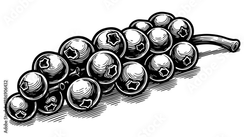 Cluster of blueberries arranged diagonally with visible stem on solid background