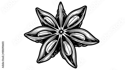 High-contrast black-and-white illustration of a star anise with intricate details