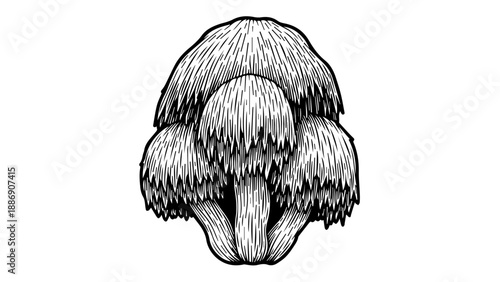 Black and white line art illustration of a mushroom with intricate details