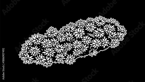 Intricate oval doily with floral motif on black background