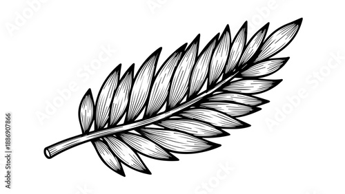Intricate black and white line art illustration of a single leaf with detailed veins and serrated edges