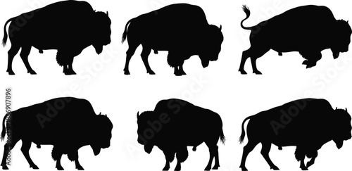 Collection of American Bison and Buffalo Silhouettes in Various Poses Including Standing Walking and Charging Isolated on a White Background