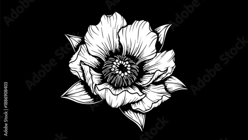 Black and white illustration of a single poppy flower with intricate petals and a densely shaded center