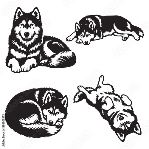 Siberian Husky Dog Laying Svg 