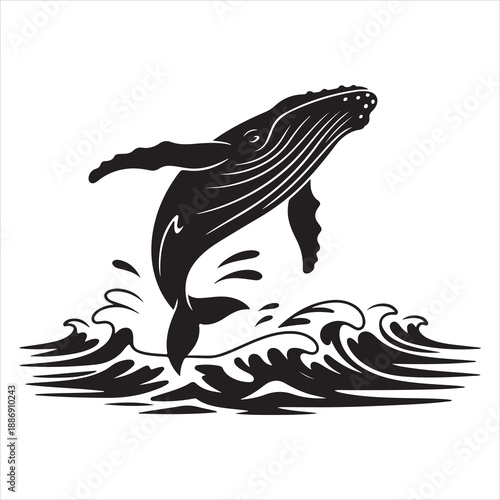 Western sandpiper silhouette calidris mauri bird clipart sandpiper vector illustration 