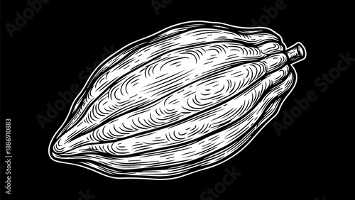 High-contrast black-and-white illustration of a cocoa pod with textured surface and elongated form